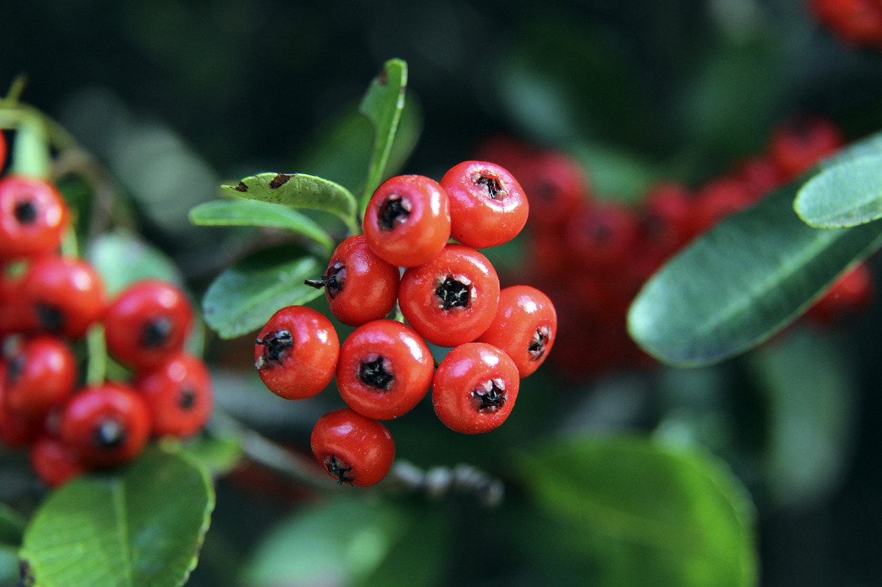 莱昂纳德与 莱昂纳德与