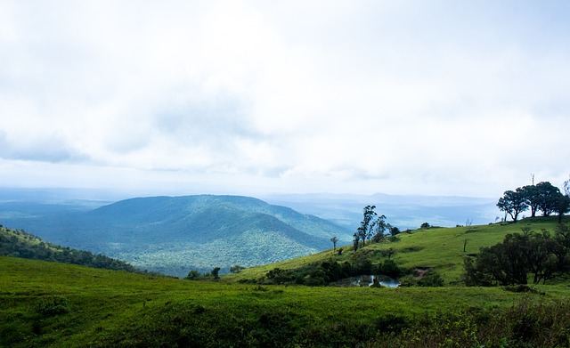 团队都经历 团队都经历