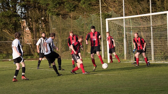 未来的王者 未来的王者