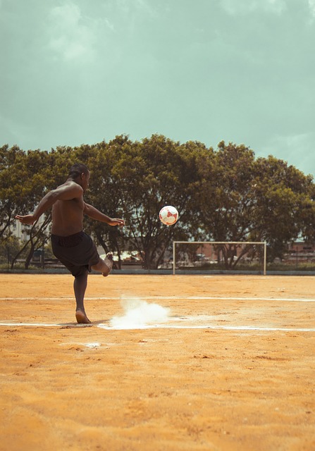 名球迷参与 名球迷参与
