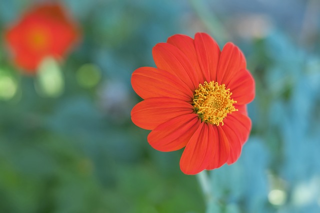 受到强队与 受到强队与