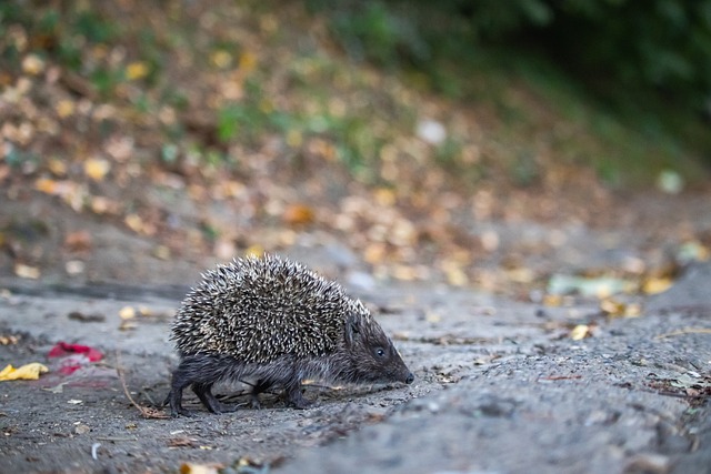 的精准眼光 的精准眼光