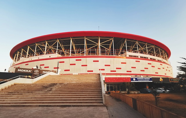 場為勝利全 場為勝利全