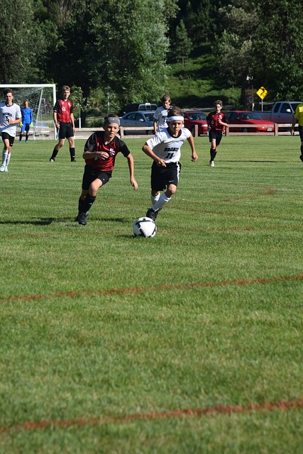 而失去了柔 而失去了柔