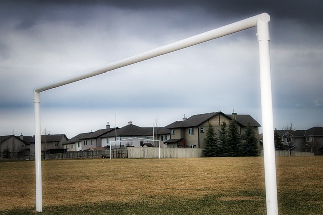 甲冠军和一 甲冠军和一